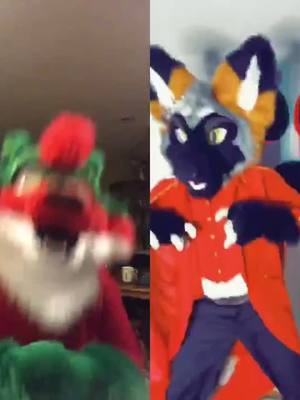 A post by @misfit_creatures on TikTok caption: #duet with @king_solomon55 😅 This took so many tries, & this was the best one! #furry #furryfandom #silly ￼#fyp