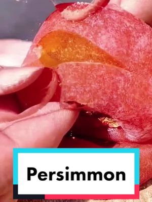 A post by @raiscuisine on TikTok caption: Persimmons, one of my favorite fruits, that are still so sweet and tasty after it gets dried #persimmon #persimmons #fruits #fruits #healthy