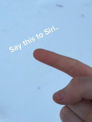 A post by @heysirihacks on TikTok caption: #fyp #siri #heysirihack #foryou #snow