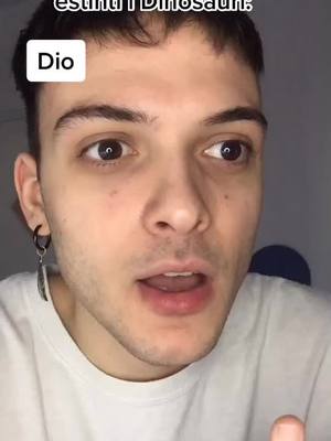 A post by @valeriovallee on TikTok