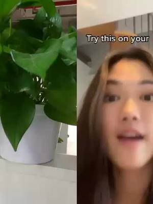 A post by @yuanzurobtics on TikTok caption: #duet with @melaniewee