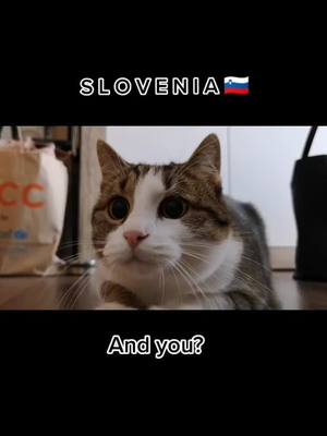 A post by @theofficialmessicat on TikTok caption: Where are you from? 🌍 #slovenija #foryoupage #foruyou #fyp #viral #meow #tiktok #9gag #balkan #wold #europe