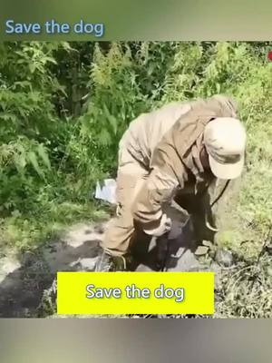 A post by @hipetsi on TikTok caption: A poor puppy was dropped into the mud pit and we rescued it.#straydog #dog #puppylove #savepuppy #foryou