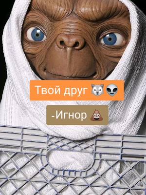 A post by @nikita_zebra1 on TikTok caption: #сменавнешности А у тебя есть свой верный друг? 🤝✨ #рекомендации #популярное #друг #friends #fyp #funny #foryou #foryoupage #tiktokindia #втоп #топ