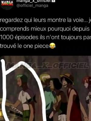 A post by @zoro.21200 on TikTok caption: #zoro #onepiece #pyt  #pourtoi  #foryou