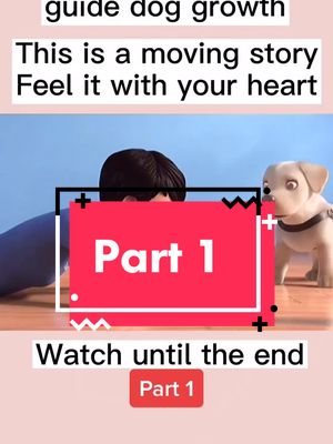 A post by @cili_pets on TikTok caption: This is a moving story feel it with your heart ♥️ #doggy #dog #puppy #petslover #fyp #foryoupage #foryou #puppylove