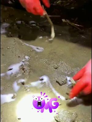 A post by @bondrayymonnd on TikTok caption: Easier at night#beach #seafood #seaside #fyp