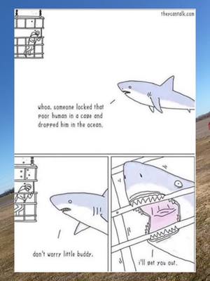 A post by @wholesomephotos on TikTok caption: #tiktok #help #shark #nice #foryou #you #happy #fyp