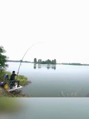 A post by @lovefishing123 on TikTok caption: #FreshLifeChallenge #fishing