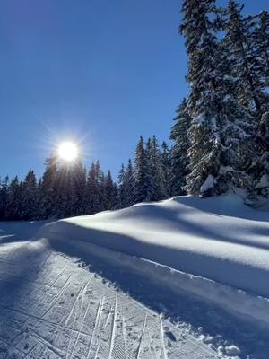 A post by @aliiixxx_ on TikTok caption: #pourtoi #fyp #neige #ski #lessaisies #montagne