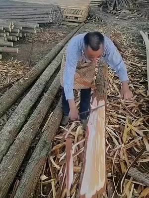 A post by @amazingfinds007 on TikTok caption: It’s too slow #fyp #wood #bark