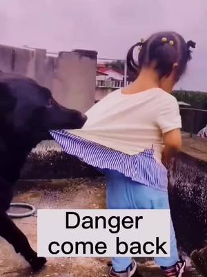 A post by @alang1228 on TikTok caption: Do you think the dog did the right thing?#pet #dog #petlover #fyp #fouyou