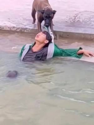 A post by @hz20201001 on TikTok caption: Do you think this dog is brave enough？🥺🥺❤️❤️#doglover #dog #pet #foryou