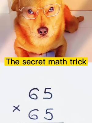 A post by @cutepetvlog on TikTok caption: Did u know how to do this?#dogoftiktok #cooltricks #fyp  #doglover #mathtricks #cutepet