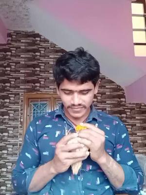 A post by @naturalvideoslokesh on TikTok