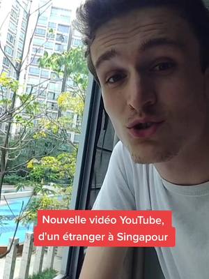 A post by @a.seegmuller on TikTok caption: Bon dimanche à vous les amis, comme d'habitude je m'abonne au premier qui vont commenter la vidéo YouTube avec leur pseudo tiktok 🥰 #tiktokfrance