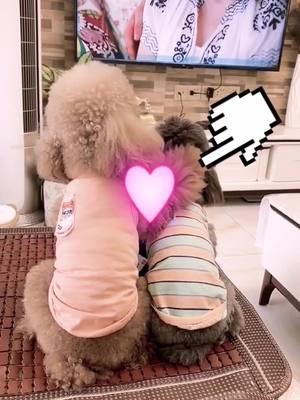 A post by @petsbaby on TikTok caption: So cute 😊 #dog #foryou #FYP #dogsoftiktok #lovelydog