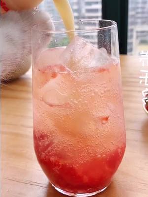 A post by @moer126 on TikTok caption: #pets #asmr #cat#food #foryou #puppy