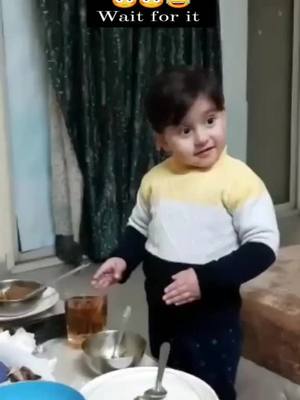 A post by @pardeepkumar0903 on TikTok caption: #Punjabi #PetsOfTikTok