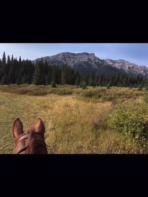 A post by @lismitchl on TikTok caption: Summer Vibes!! #MyHome #countrylife #mountainviews #horsesontiktok #takemeback #2020