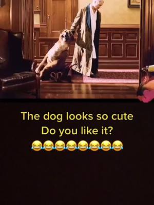 A post by @hpfilmer on TikTok caption: #duet with @wjly9495 #fyp #foryou #dog #movie