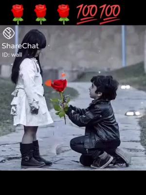 A post by @sardhar.basha..111 on TikTok caption: #____&💯💯____&🌹🌹