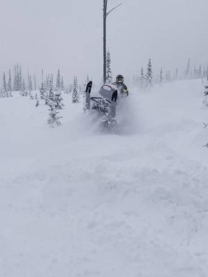 A post by @teejolean on TikTok caption: Skidoo factory turbo freeride getting some blower pow 🥶🔥 #skidoo #turbo #freeirde #nwsledder #fyp #spoolin