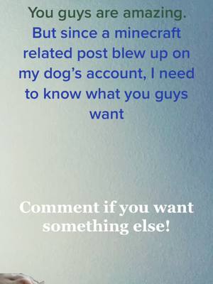 A post by @small.doggo on TikTok caption: I won’t be posting often, but thanks again for the crazy amount of attention! #thanks #dream #doggos #funny #poll