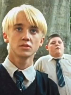 A post by @livealifeyou on TikTok caption: Rispondi a @st111_ #dracomalfoy #tomfelton #fy #fyp #4u #4upage #perte