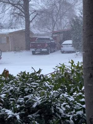 A post by @redneckprinc3ss on TikTok caption: #Texas #sendhelp #wereclueless #notusedtoit #snow #weather #doritosflatlife #itwasntme #neighbors