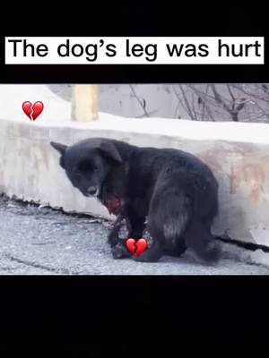 A post by @buffydhon92 on TikTok caption: Save the poor dog.#pitiful #dog #pet #fyp #foryou