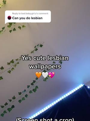 A post by @__walpapers_._ on TikTok caption: Reply to @bad.baby.girl.z next is non binary 🧡🤍💖🥰💗✨#lgbtq🏳️‍🌈 ##lesbian #bi #gay #pan #trans #follow #like #share #comment #copylink #fyp