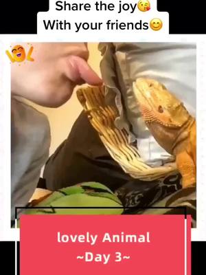 A post by @tavares2252 on TikTok caption: Follow me to see more funny and lovely videos for animals. And thank you guys for sharing to so many of your be loved ones. #loveyou #share #animals