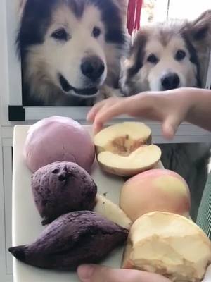 A post by @zhanghao1033 on TikTok caption: The children lined up for the fruit