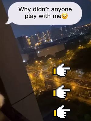 A post by @cherry_yoyo1 on TikTok caption: Will you play with me?#cat #pets #catsoftiktok #petlover