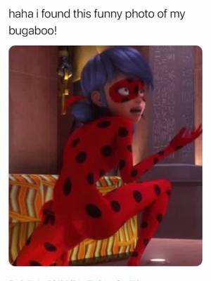 A post by @mlbtwee3ts on TikTok caption: hello? #miraculous #catnoir #ladybug #hawkmoth #fyp #foryoupage