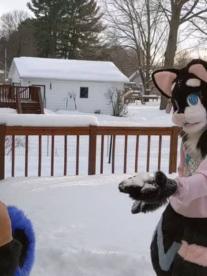 A post by @rezi_a_dog on TikTok caption: Dum clip from a snow day with @raenbowcat lololol #furry #furries #fursuit #fursuiting