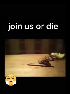 A post by @yxng_boyy667 on TikTok caption: #duet with @feyenoordheart join the hamster or die