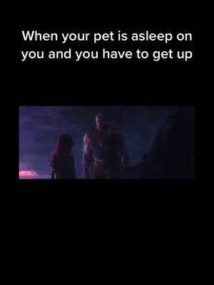 A post by @gamerclips756 on TikTok caption: All the time 😂 #fyp #CaliStarChallenge #foryou #trending #foryoupage #viral #meme #avengers #thanos #pet