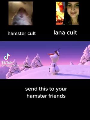 A post by @followback_089 on TikTok caption: Hamster cult for the win #hamstercult