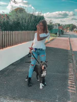 A post by @ro_staff on TikTok caption: ma vie💓 #foryou #pourtoi #fyp #amstaff #dog