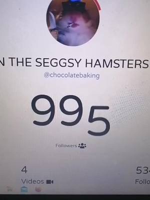 A post by @chocolatebaking on TikTok caption: We REACHED TO 1k hamsters!!! 🐹🐹❤️#hamster #hamstercult #hamsters🐹