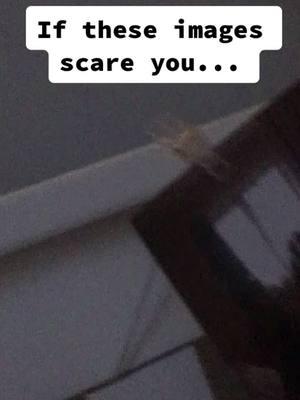 A post by @ph0bias_s on TikTok caption: Comment some more phobias! #VideoSnapChallenge #CaliStarChallenge #gephyrophobia #scary #phobias #fyp