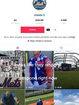 A post by @hamsters_gang_only on TikTok caption: @mets