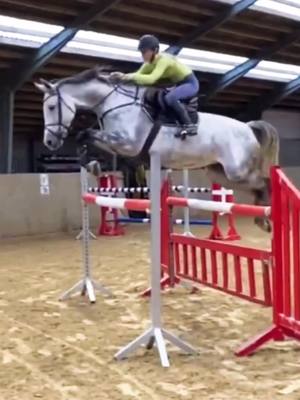 A post by @showjumpingedits011 on TikTok caption: This horse is so beautiful 😍 How do you like her riding? @lauramarielarsen_showjumper on ig #fyp #horses #showjumping #fypage #viral #video #tiktok