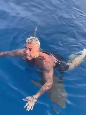 A post by @sandroflci8 on TikTok caption: Ah ça place vous feriez quoi ? 😂😱🦈