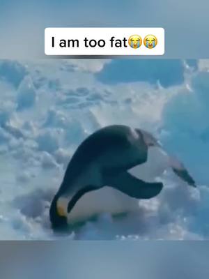 A post by @yc99991 on TikTok caption: I am too fat 😳😳#fyp #foryou #