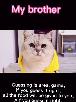 A post by @liubaohua0 on TikTok caption: #pet cat#daily life#train#meme#my brother#