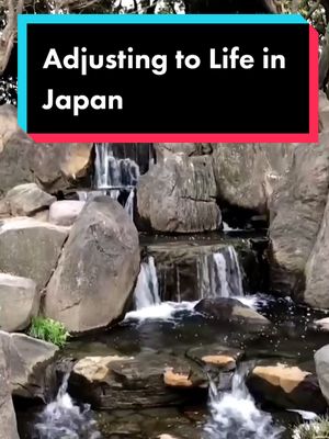 A post by @saijojp on TikTok caption: Adjusting to Life in Japan #travel #japan #foryoupage #foryou #fyp #japanese #bestmemories #traveltiktok #anime #aesthetic #routine #asia