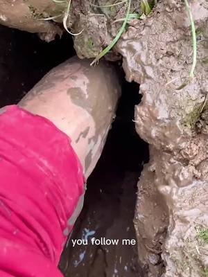 A post by @fisherman_james on TikTok caption: Hibernating turtle caught in turtle hole #fyp #foryou #McDonaldsCCSing #tiktok #sea #VideoSnapChallenge #wow #fun #turtles #turtle